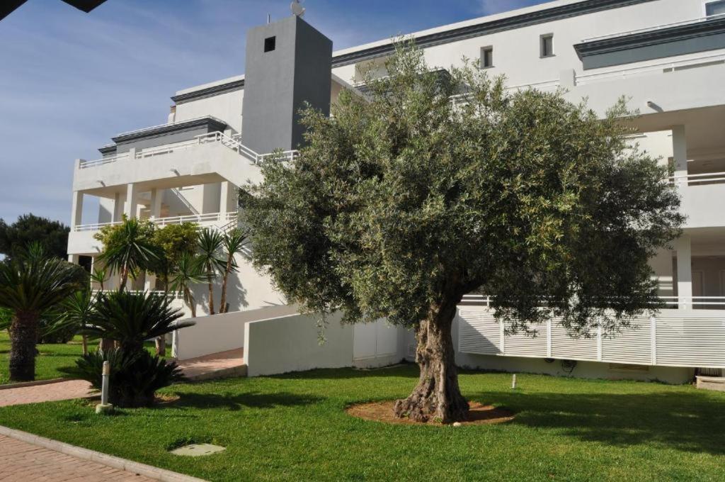 Appartement Oasis Hoyo 12 - Oliva Nova Playa Met&Golf Extérieur photo