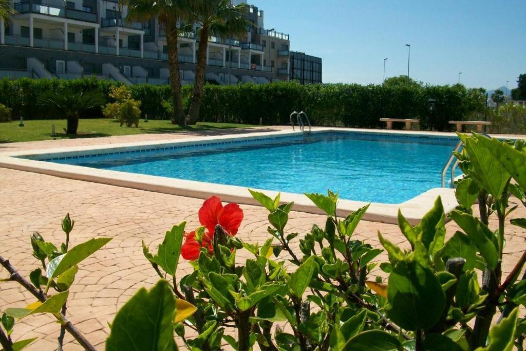 Appartement Oasis Hoyo 12 - Oliva Nova Playa Met&Golf Extérieur photo